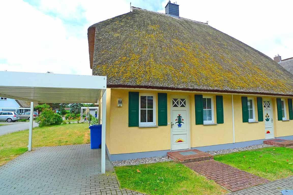 Ferienhaus An Der Alten Waldschaenke Ws-11A Born Eksteriør bilde